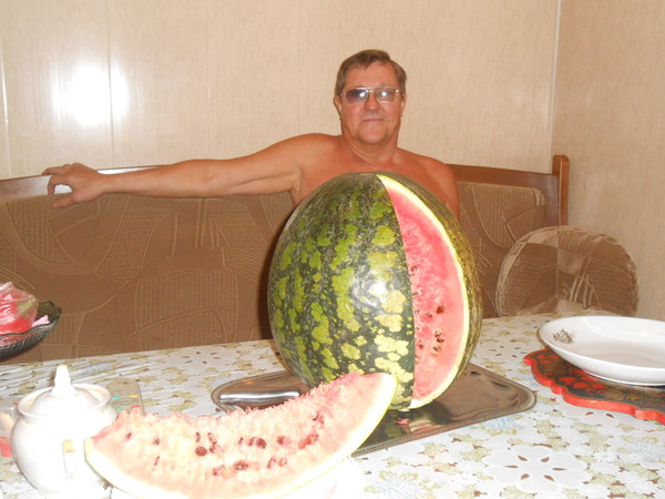 Николай Шаматрин