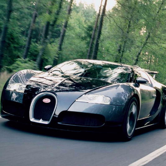 Тима Винокуров