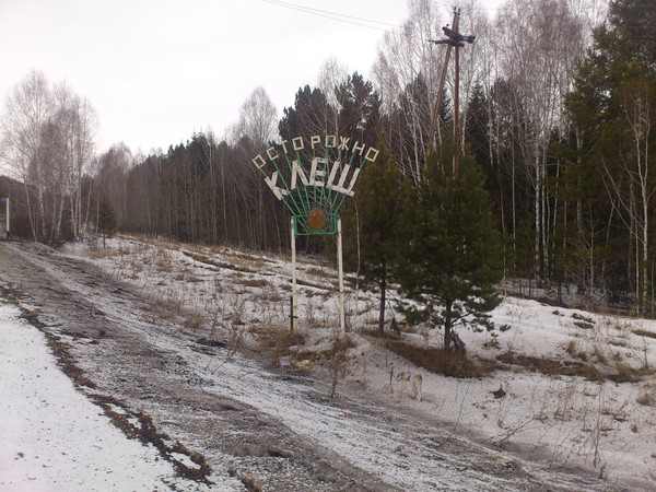 Руслан Фарзекаев