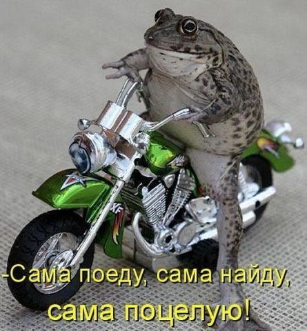 Татьяна Малькова