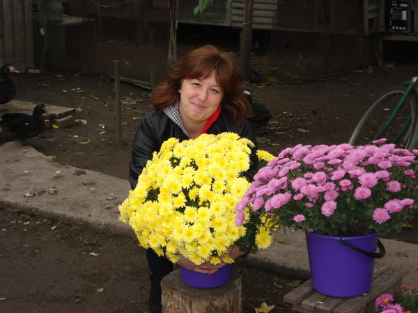Елена Темчук