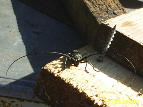 Сергей Есть