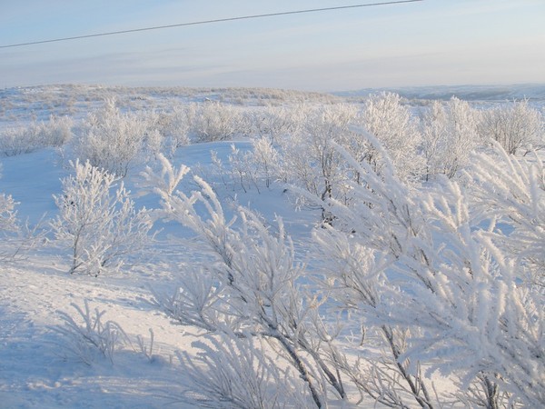 Александр Мулев