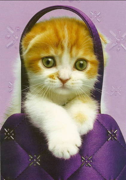 Александр Юрьевич