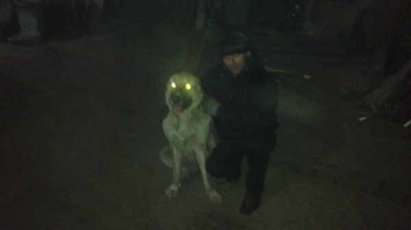 Слава Макаренко