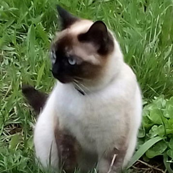 Александр Кузнецов