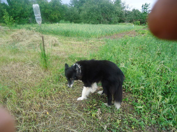 Гунар Зирнис