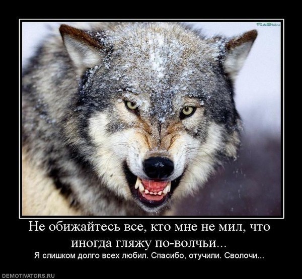 Евгений Новожилов