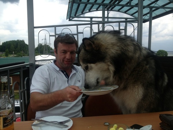 Виталий Васильев