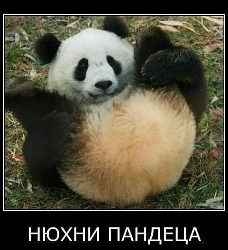 Виталий В