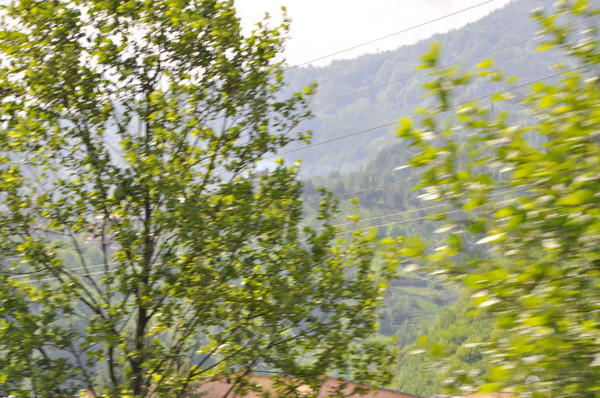 Kaya Yakar