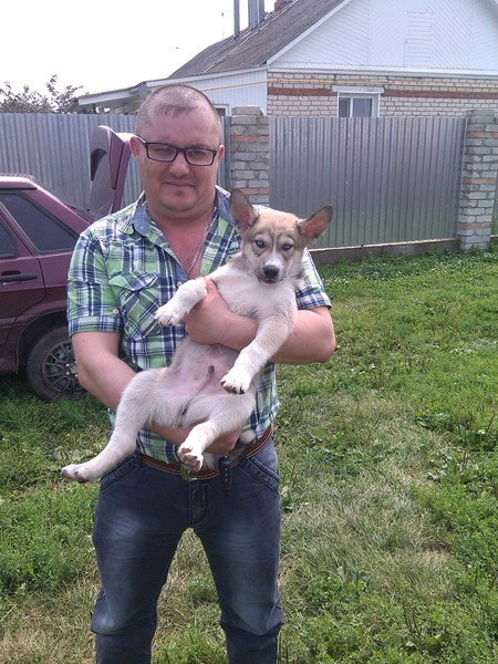 Дмитрий Аширов