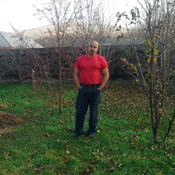 Алекс Сойман