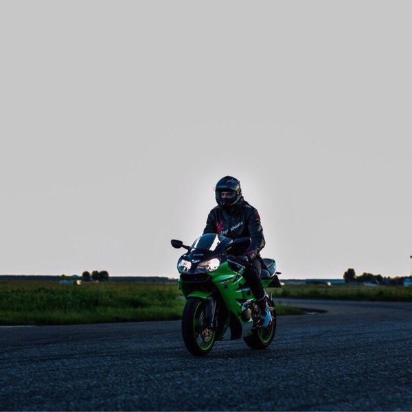 Eddi. 51