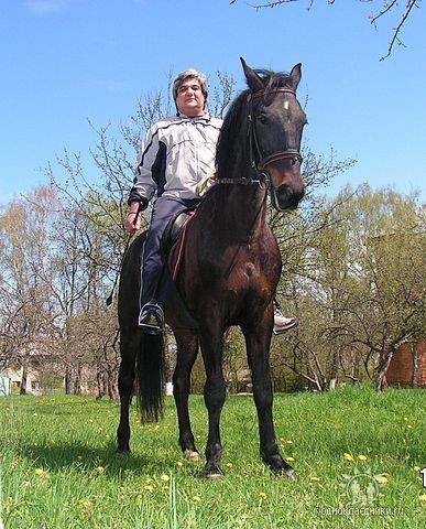 Михаил Яковлев