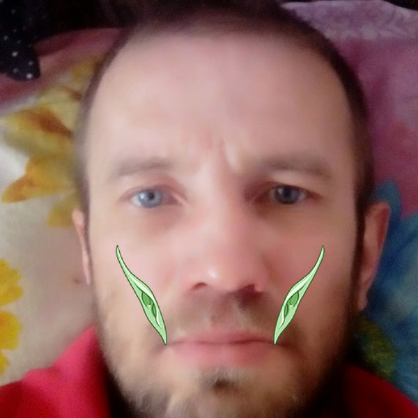 Александр Воронин