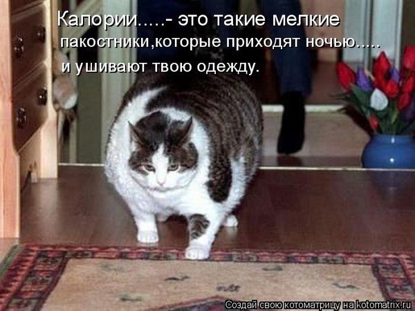 Влад Кулаков