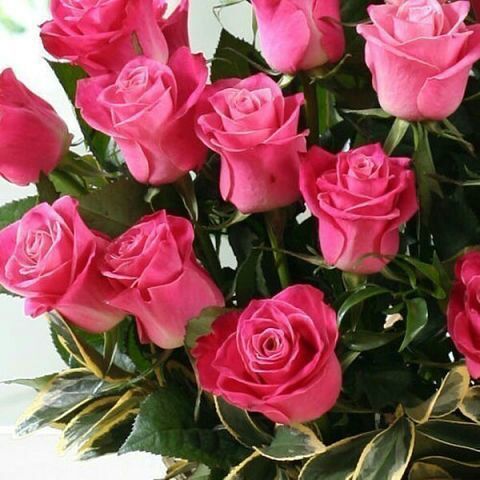 Феруза Сатторова