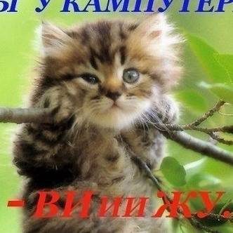 Майк Петрович
