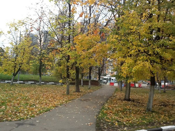 Унникришнан Тачараккал