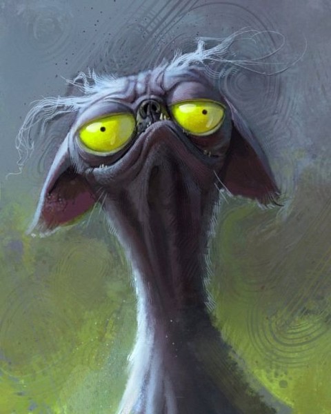 Elja Lr