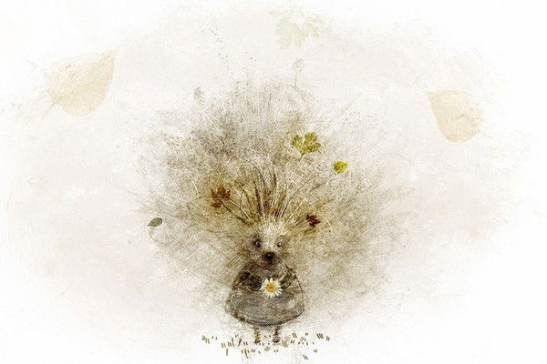 Елена Павлова