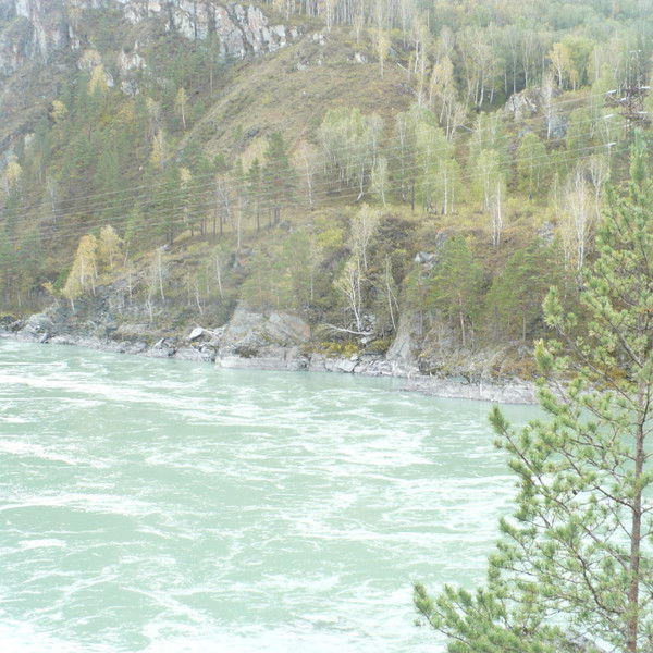 Светлана Чебан