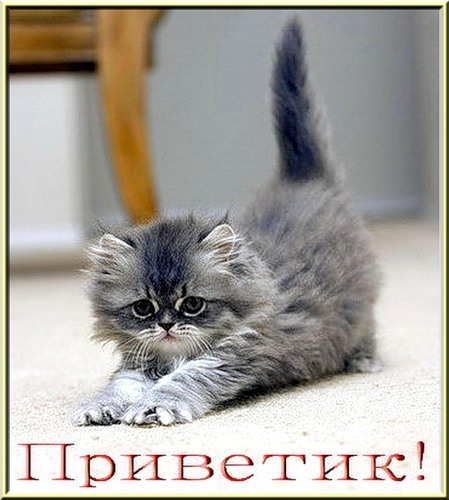 Антонинина Какурина