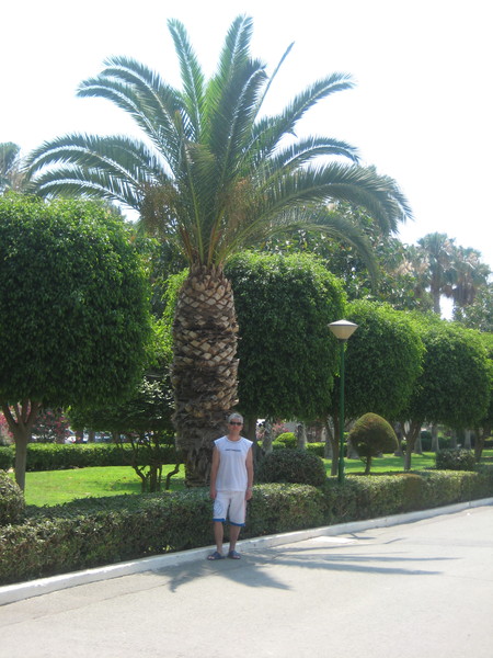 Konstantin Filyarov