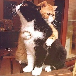 Марина Сушилина