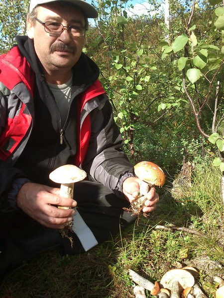 Владимир Епифанов