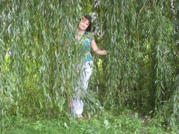 Елена Сергеева