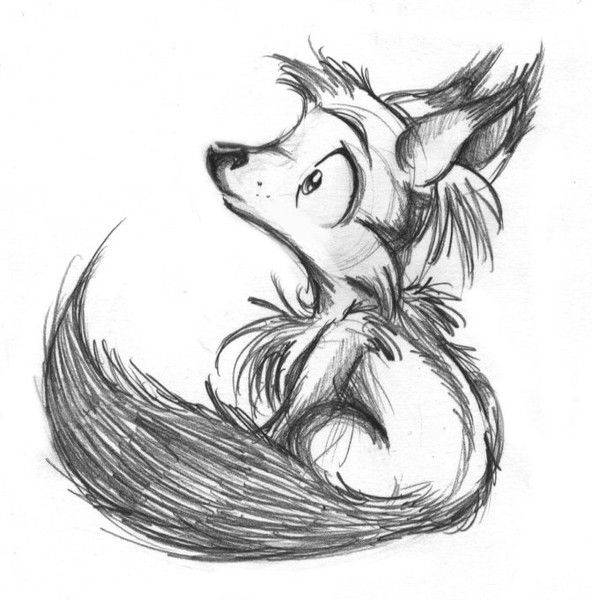 Саша Елисейкин