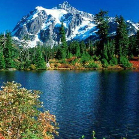 Анна Баженова