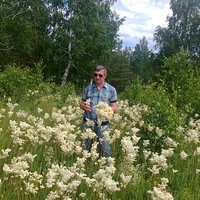 Анатолий Поронников