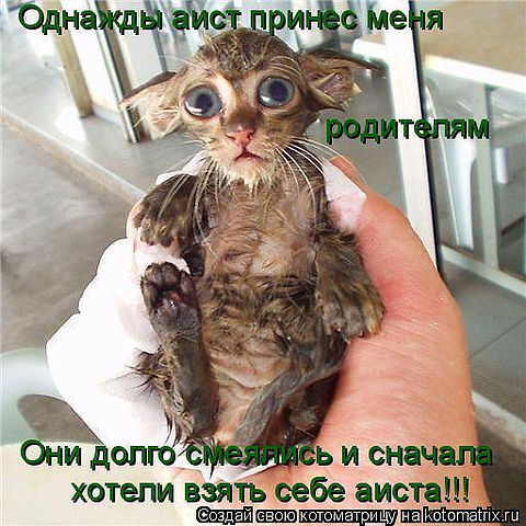 Сергей Поломошнов