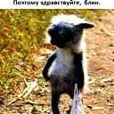 Олька Я
