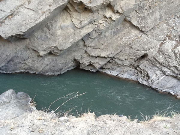 Тоита Сатуева