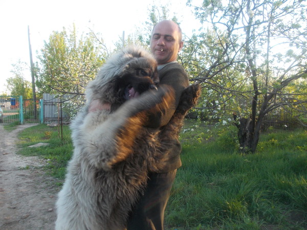 Сергей Карицкий