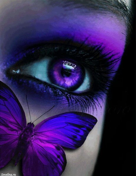 •°•нургуль•°• * * * *