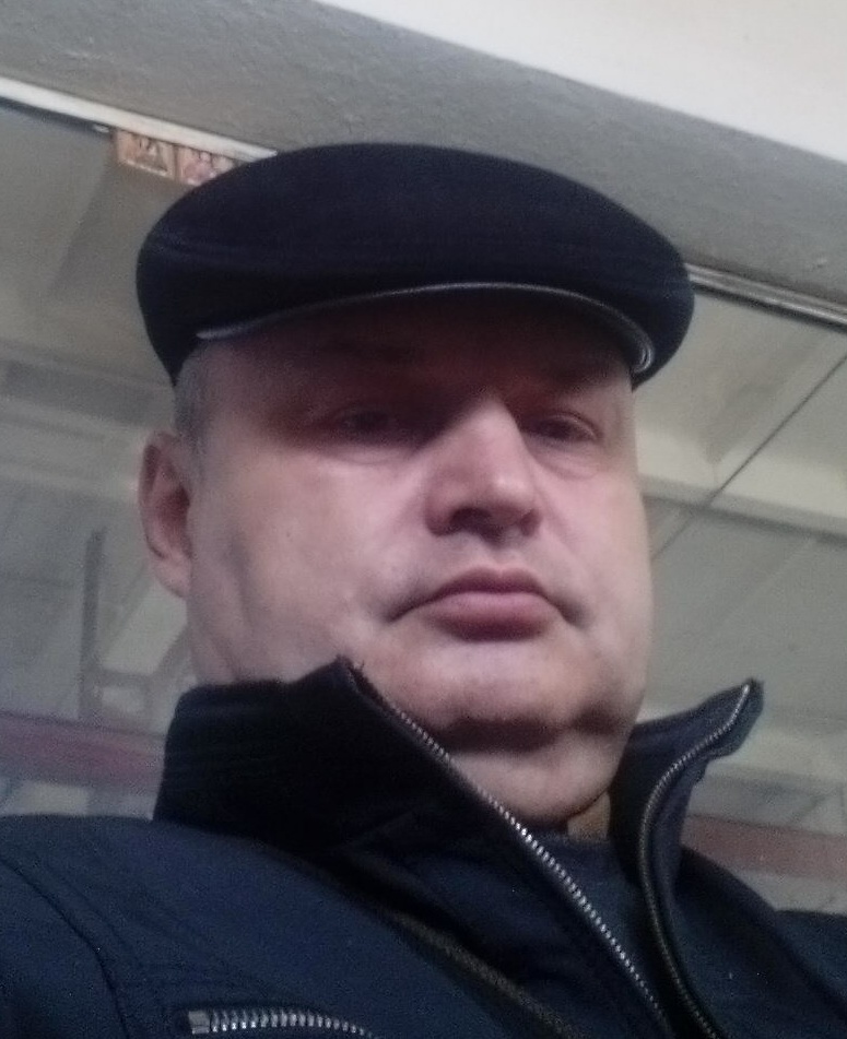 Вильха Дерево