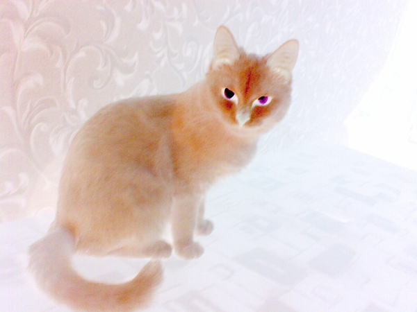 Ю- Ю