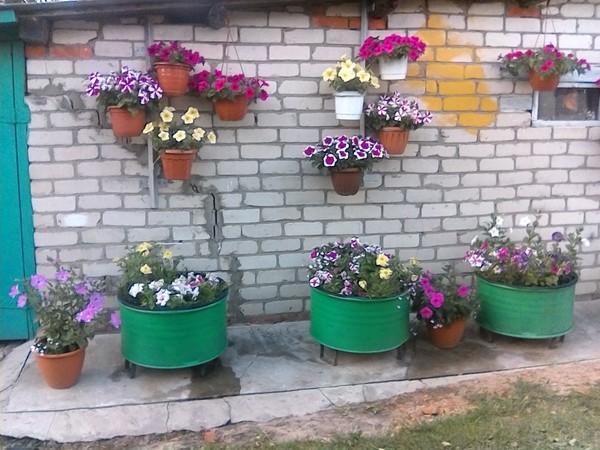 Лиза Вик