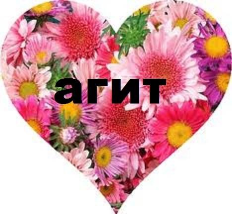Агит Игус