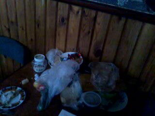 Григорий Данилов