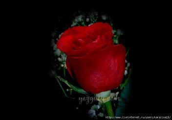 111 222