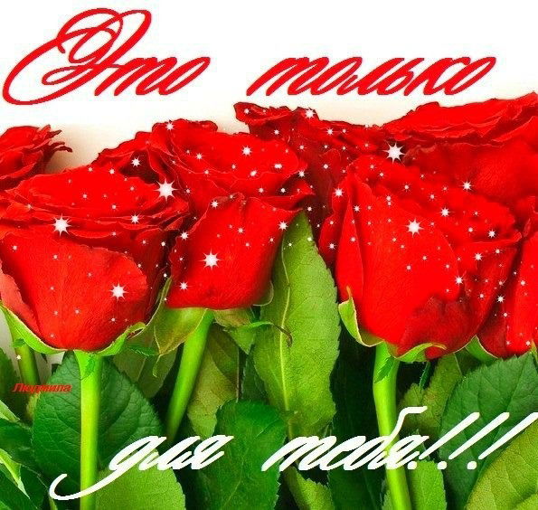 Ольга Краснова