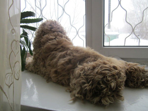 Елена Кузьмина(Чулкова)