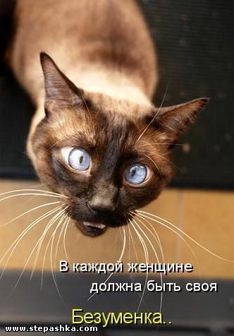 Лис ***