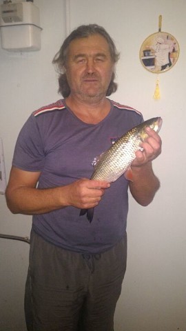 Андрей Сальков